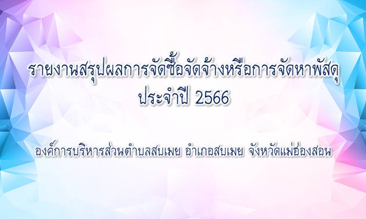 รายงานสรุปผลการจัดซื้อจัดจ้างหรือการจัดหาพัสดุ ประจำปี 2566